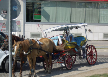 Измир, Эгейский регион, Турция, фото № 47781 – фотографии Турции