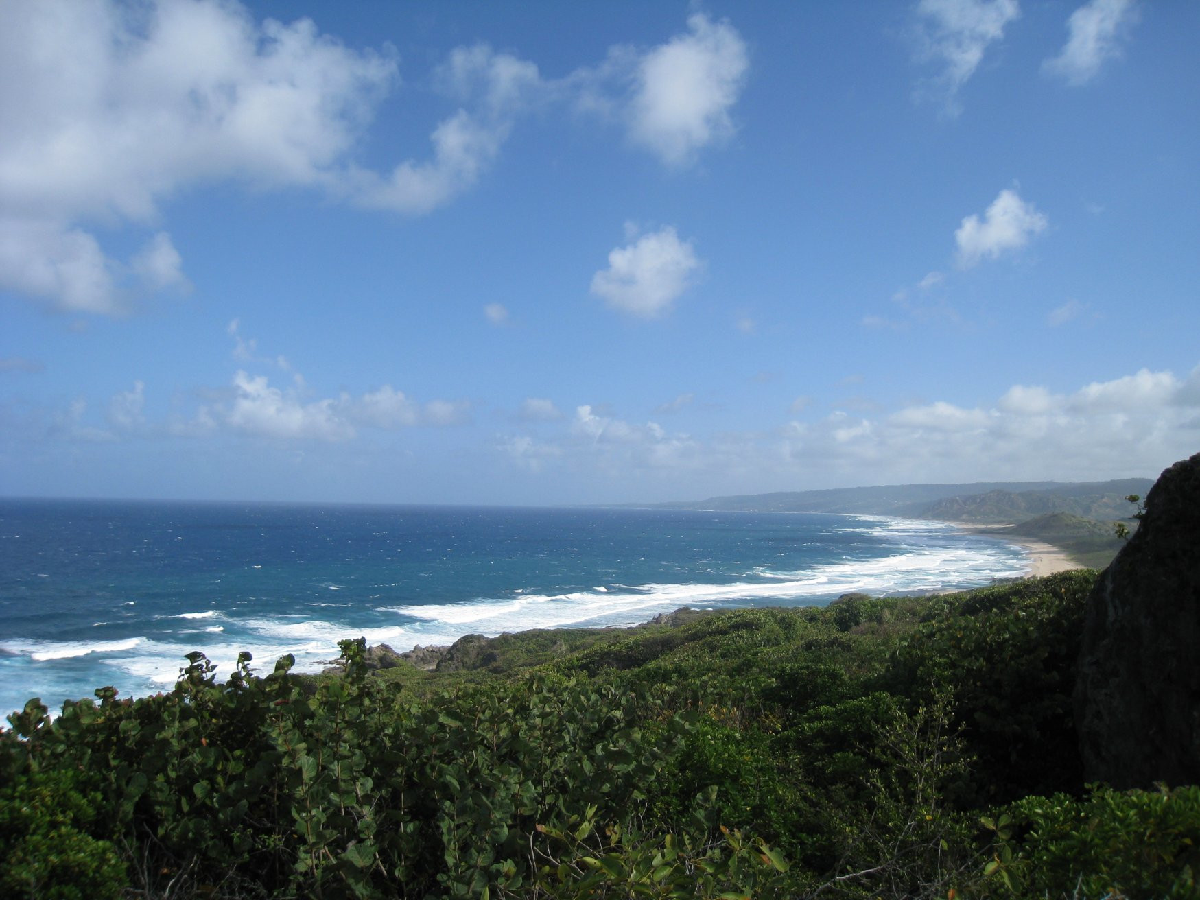 Берега в Барбадосе. Фото 3 – фотографии Барбадоса