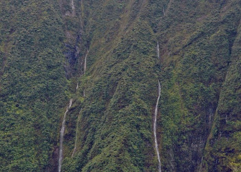Плень-де-Палмист, Реюньон, фото № 25644 – фотографии Реюньона