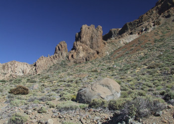 Тейде Национальный парк, Тенерифе остров, Канарские острова, фото № 33897 – фотографии Канарских островов