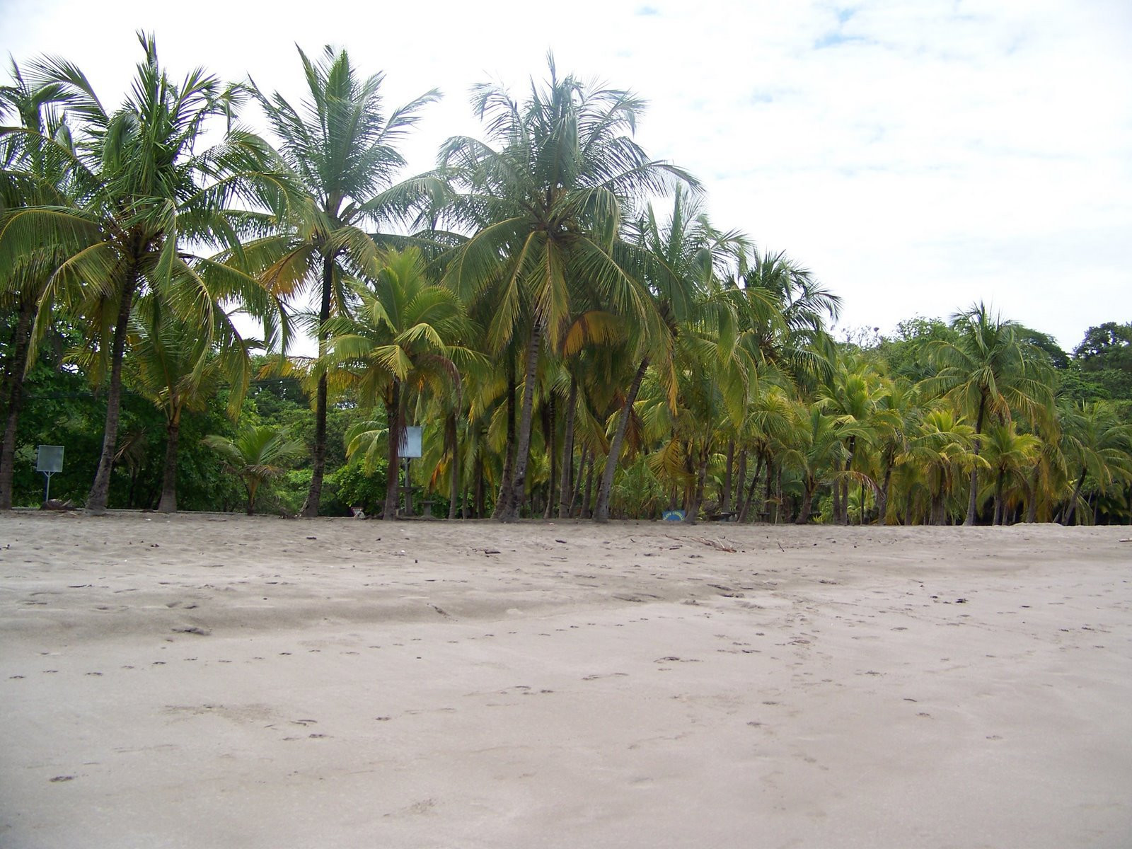 Плайя Карильо, Гуанакасте провинция, Коста-Рика, фото № 39528 – фотографии Коста-Рики