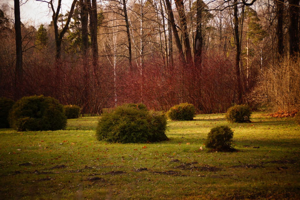 Дворцово-парковый комплекс Ораниенбаум – фотографии России