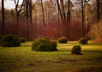 Дворцово-парковый комплекс Ораниенбаум – фотографии России