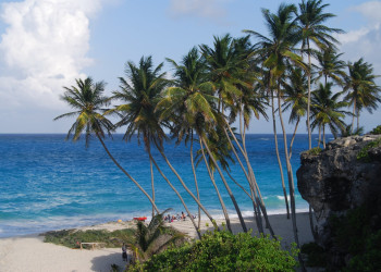 Пляж на Южном побережье, Барбадос. Фото 3 – фотографии Барбадоса