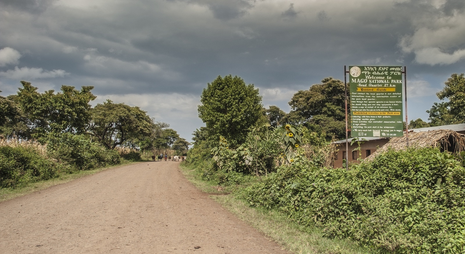 Племя Мурси в национальном парке Маго. Фото 5 – фотографии Эфиопии