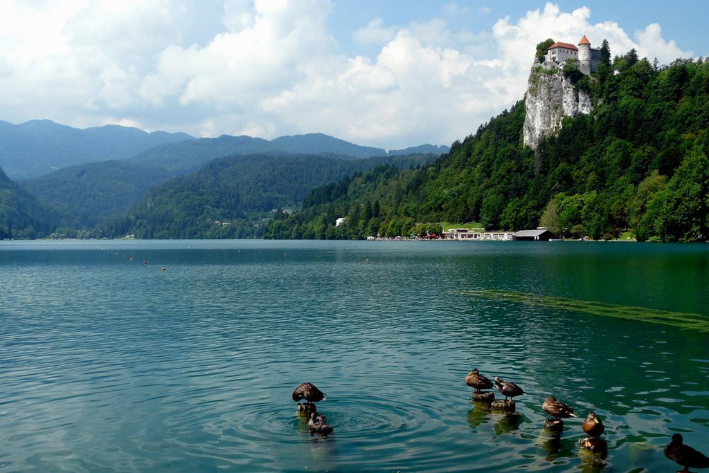 Блед Озеро, Словения, фото № 56820 – фотографии Словении