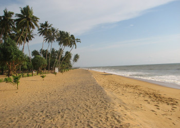 Калутара, Шри-Ланка, фото № 51245 – фотографии Шри-Ланки