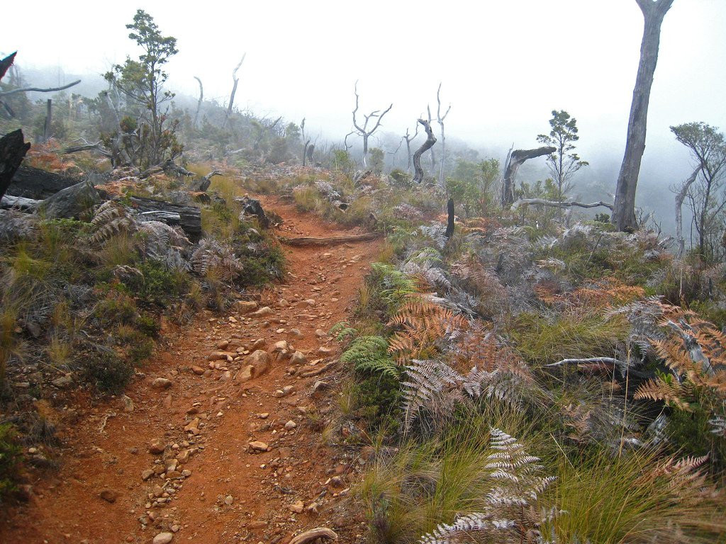 Чиррипо Национальный Парк, Сан Хосе провинция, Коста-Рика, фото № 41242 – фотографии Коста-Рики