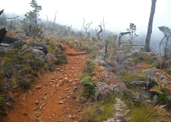 Чиррипо Национальный Парк, Сан Хосе провинция, Коста-Рика, фото № 41242 – фотографии Коста-Рики