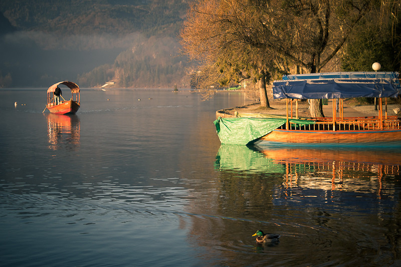 Озеро Блед в Словении – фотографии Словении