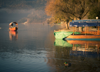 Озеро Блед в Словении – фотографии Словении