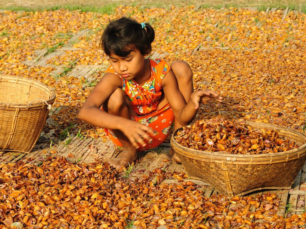 Девочка в Мраук-У, Мьянма – фотографии Мьянмы