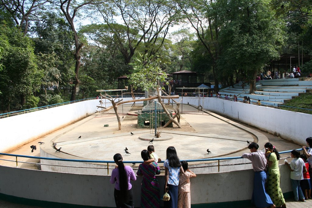 Янгонский Зоопарк (Yangon Zoo) – фотографии Мьянмы
