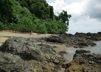 о.Кокос, Пунтаренас провинция, Коста-Рика, фото № 40873 – фотографии Коста-Рики