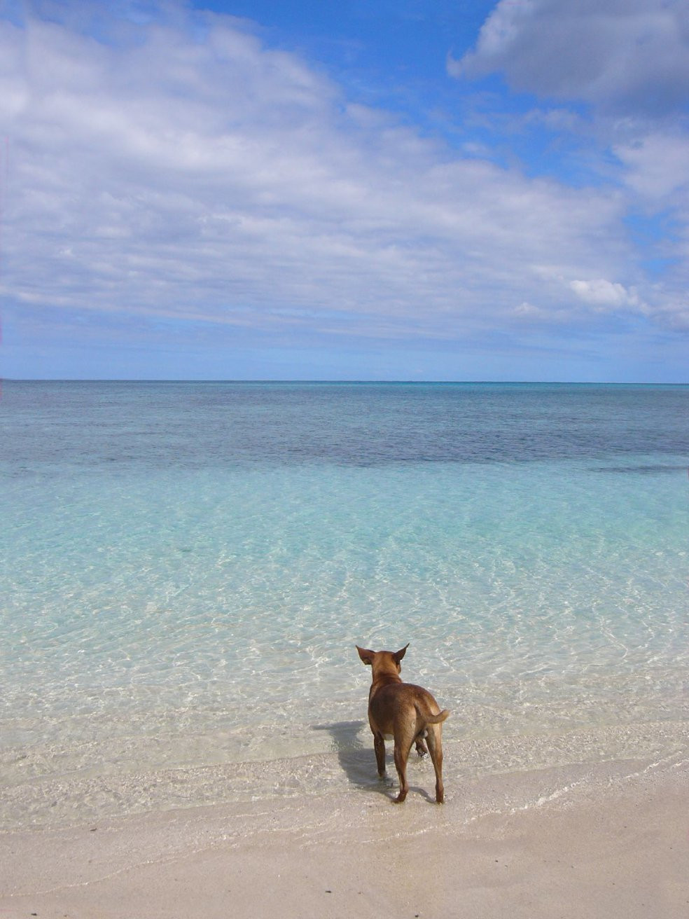 Накула остров, Ясава группа островов, Фиджи, фото № 50235 – фотографии Фиджи