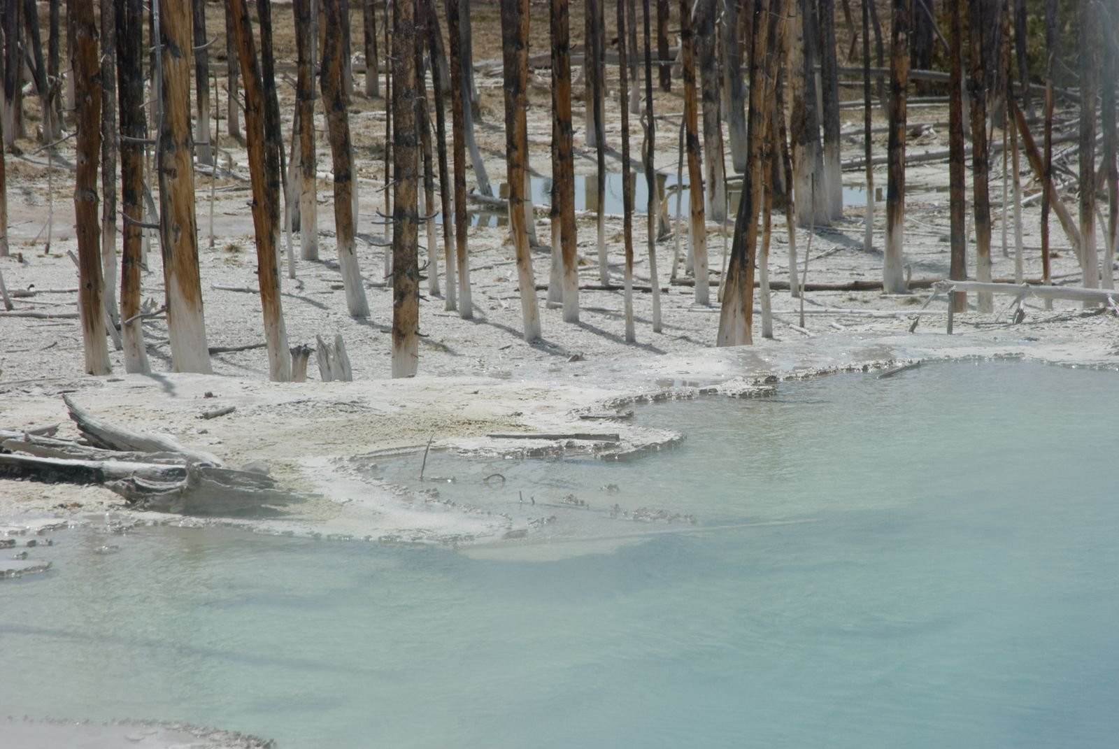 Йеллоустоун Национальный Парк, Вайоминг штат, США, фото № 67728 – фотографии США