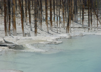 Йеллоустоун Национальный Парк, Вайоминг штат, США, фото № 67728 – фотографии США