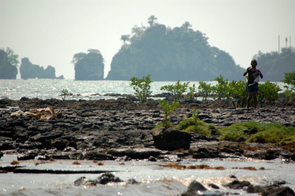 Камерун. Фото 13 – фотографии Камеруна