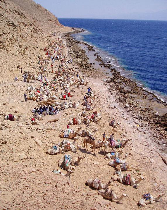 Египет, фото № 543 – фотографии Египта