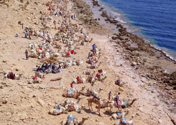 Египет, фото № 543 – фотографии Египта