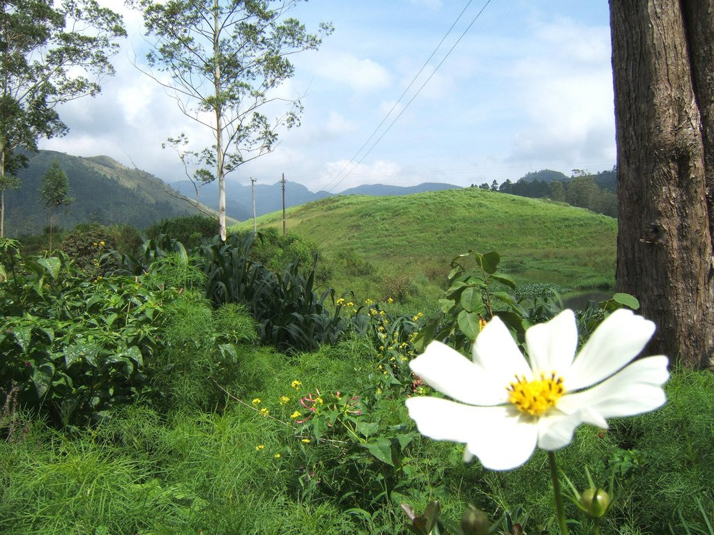 Нувара Элия, Шри-Ланка, фото № 52075 – фотографии Шри-Ланки