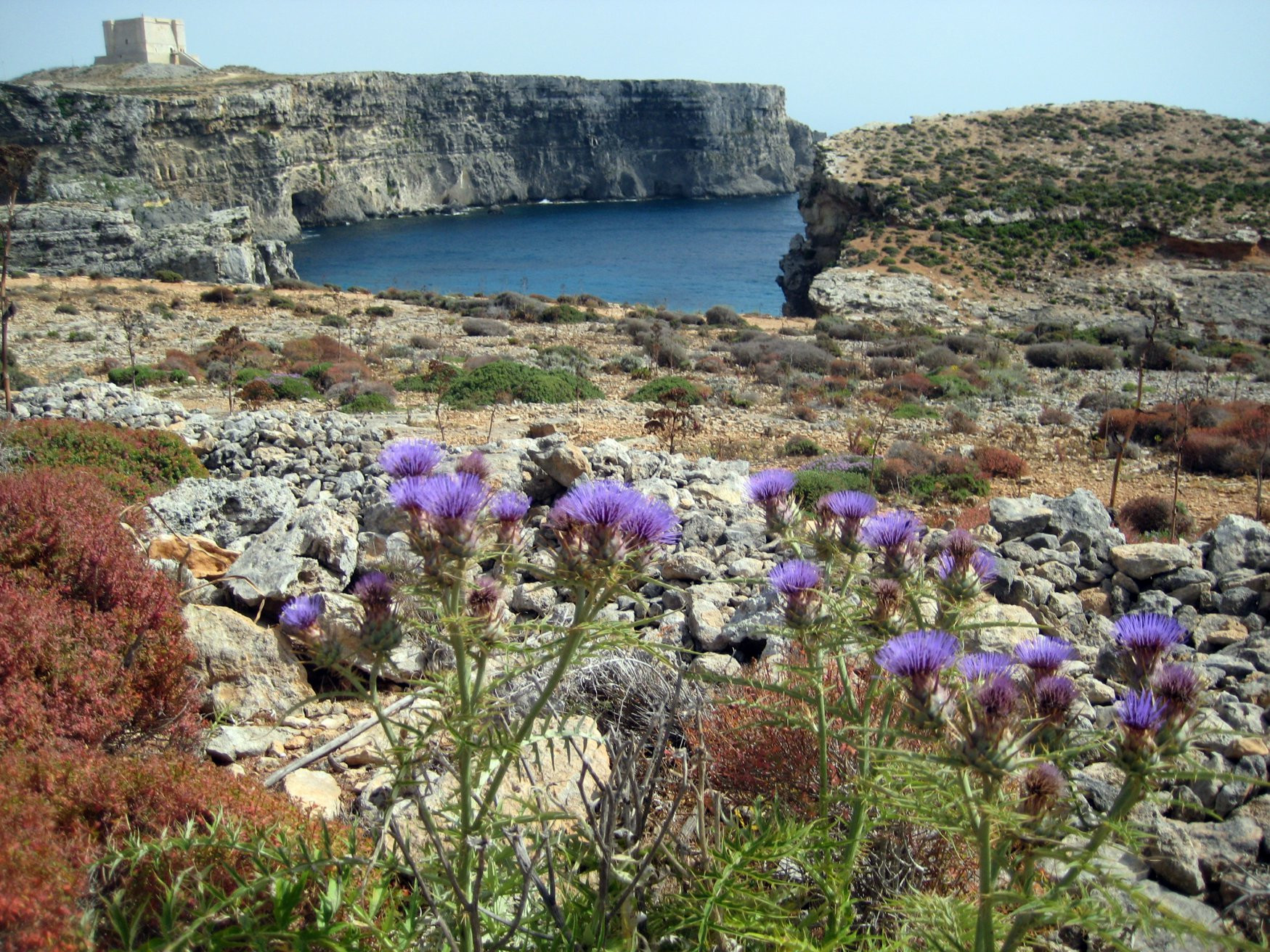 Комино остров, Мальта, фото № 41801 – фотографии Мальты