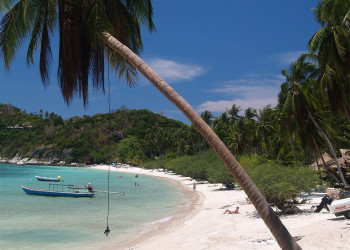 Пляж на острове Тао, Тайланд. Фото 12 – фотографии Таиланда