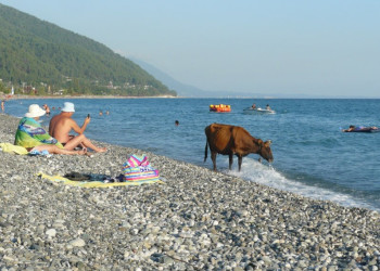 Пляж в Цандрыпш, Абхазия. Фото 6 – фотографии Абхазии