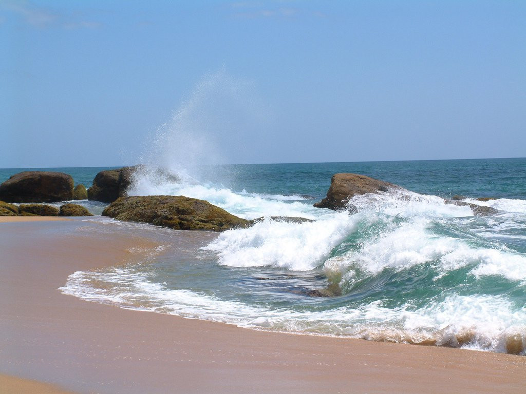 Яла Национальный Парк, Шри-Ланка, фото № 52683 – фотографии Шри-Ланки