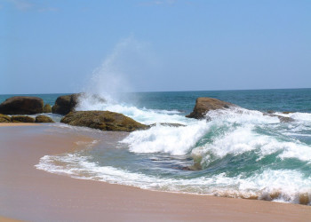 Яла Национальный Парк, Шри-Ланка, фото № 52683 – фотографии Шри-Ланки