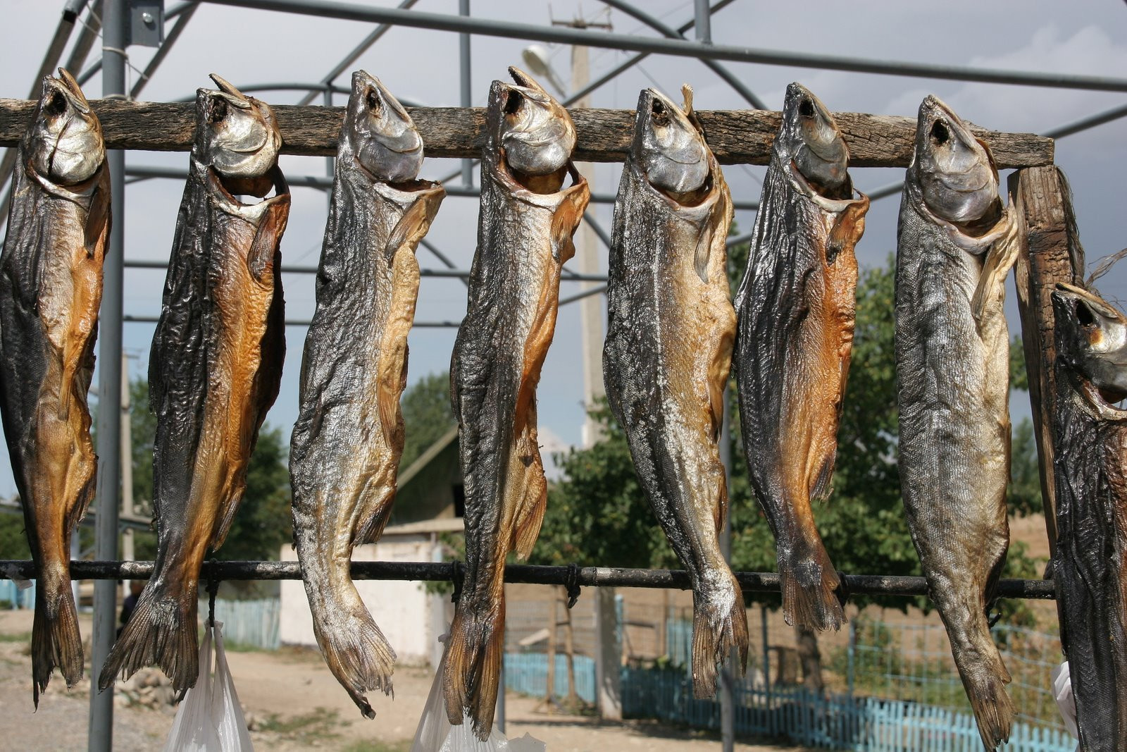 Kyrgyzstan – фотографии Киргизии