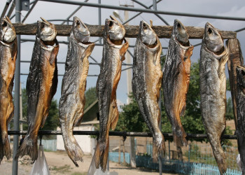 Kyrgyzstan – фотографии Киргизии