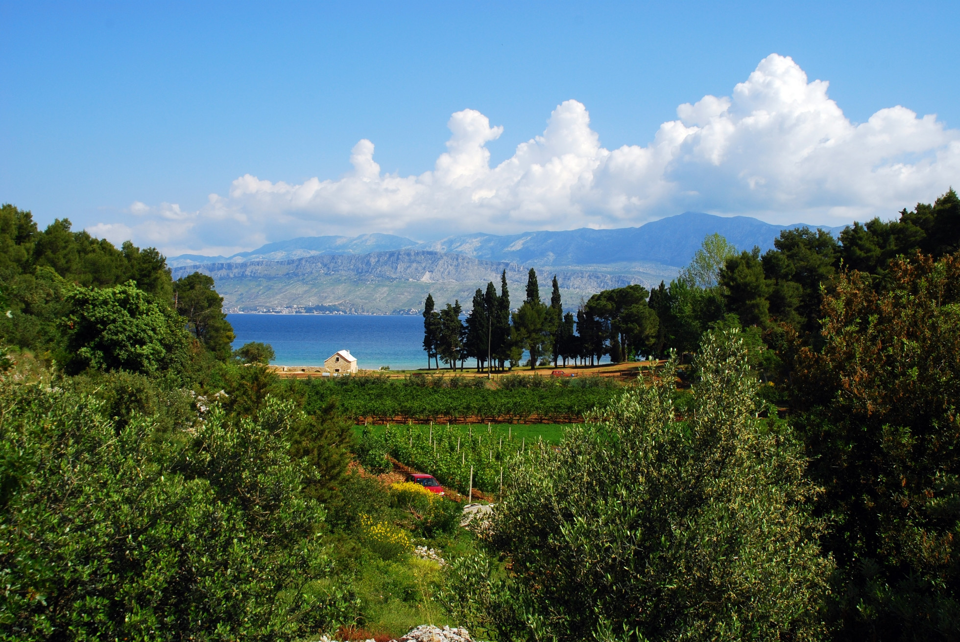 Природа в Брач, Хорватия. Фото 3 – фотографии Хорватии