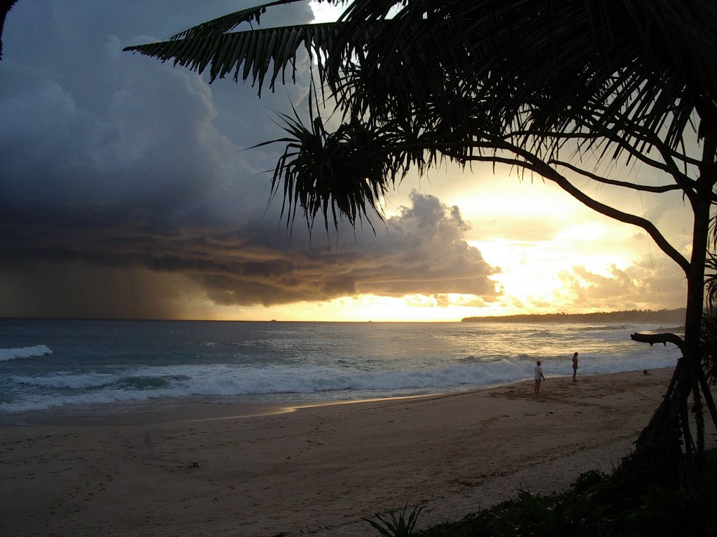Коггала, Шри-Ланка, фото № 51564 – фотографии Шри-Ланки
