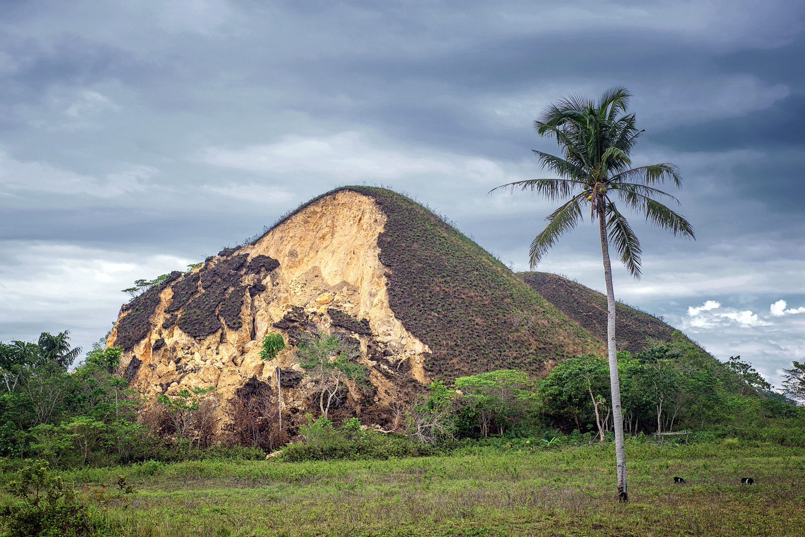 Шоколадные холмы, Филиппины. Фото 2 – фотографии Филиппин