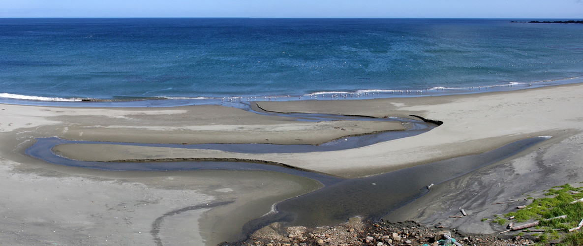 Командорские острова, Россия. Фото 19 – фотографии России