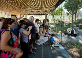 Зоопарк Аделаиды (Adelaide Zoo) – фотографии Австралии