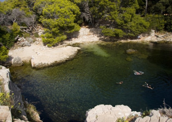 Природа на острове Локрум, Хорватия. Фото 7 – фотографии Хорватии