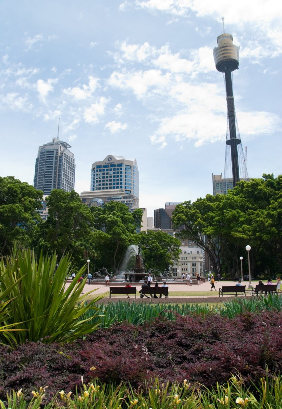 Парк Сиднея, Австралия – фотографии Австралии