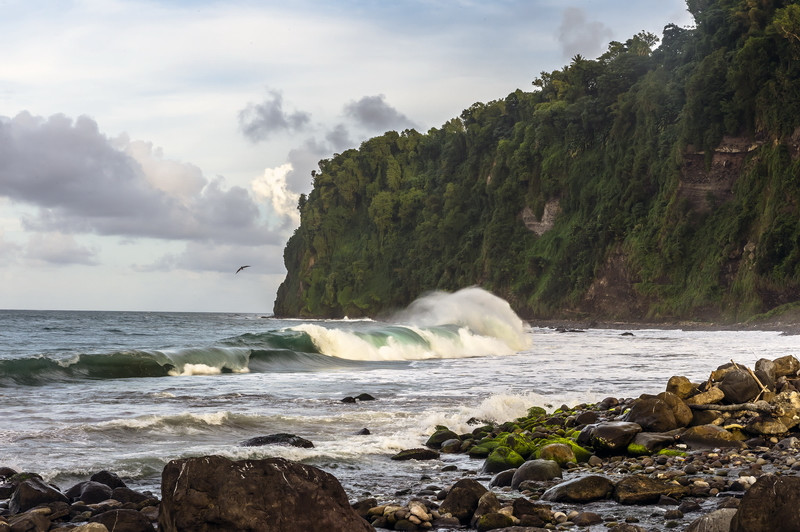 Живописное побережье Гран'Ривьер – фотографии Мартиники