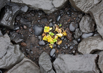 Исландия, фото № 4433 – фотографии Исландии