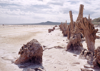 Солёное озеро Баскунчак. Фото 1 – фотографии России