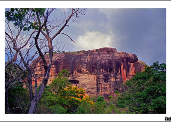 Сигирия, Шри-Ланка, фото № 52266 – фотографии Шри-Ланки