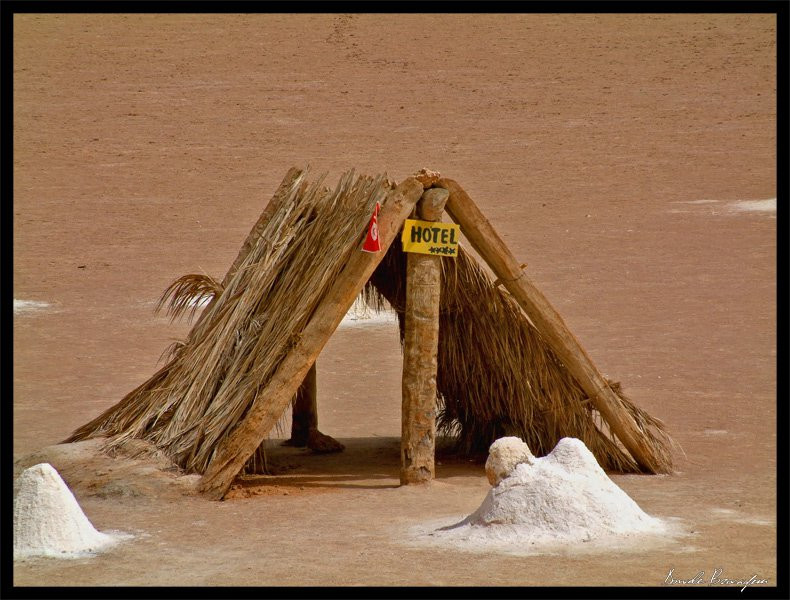 Отель в Тунисе. Фото 4 – фотографии Туниса