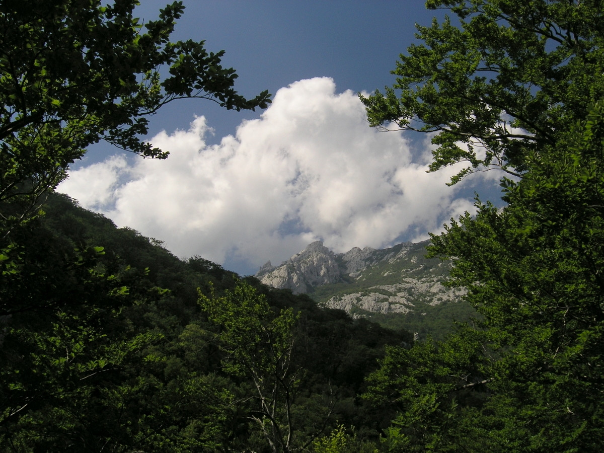 Природа в Пакленица, Хорватия. Фото 11 – фотографии Хорватии