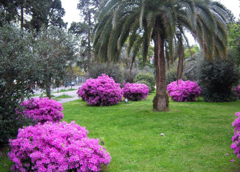 Батуми, Грузия, фото № 73366 – фотографии Грузии