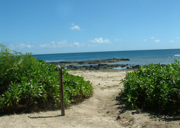 Ясава остров, Ясава группа островов, Фиджи, фото № 50422 – фотографии Фиджи