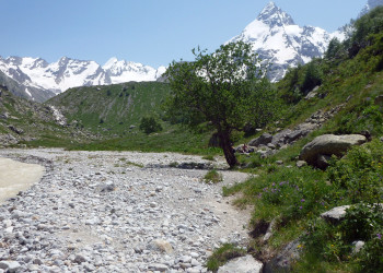 Долина Адыл-Су, Кабардино-Балкария, Россия – фотографии России