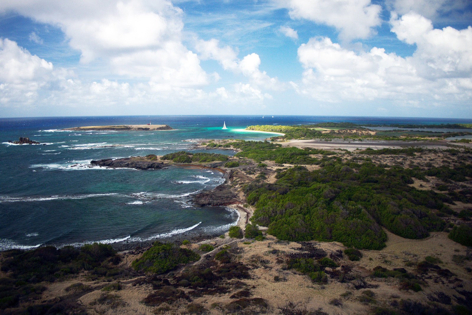 Саванна ископаемых (Savane des petrifications) на Мартинике – фотографии Мартиники