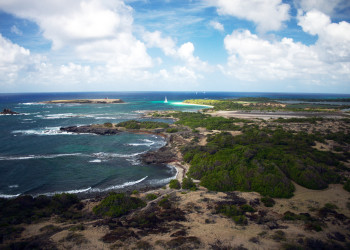 Саванна ископаемых (Savane des petrifications) на Мартинике – фотографии Мартиники